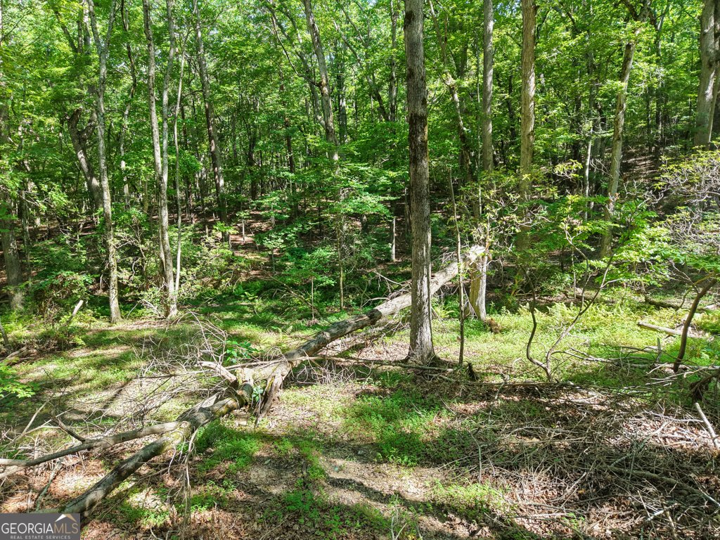 156 Mulberry Circle Jasper - Photo 29