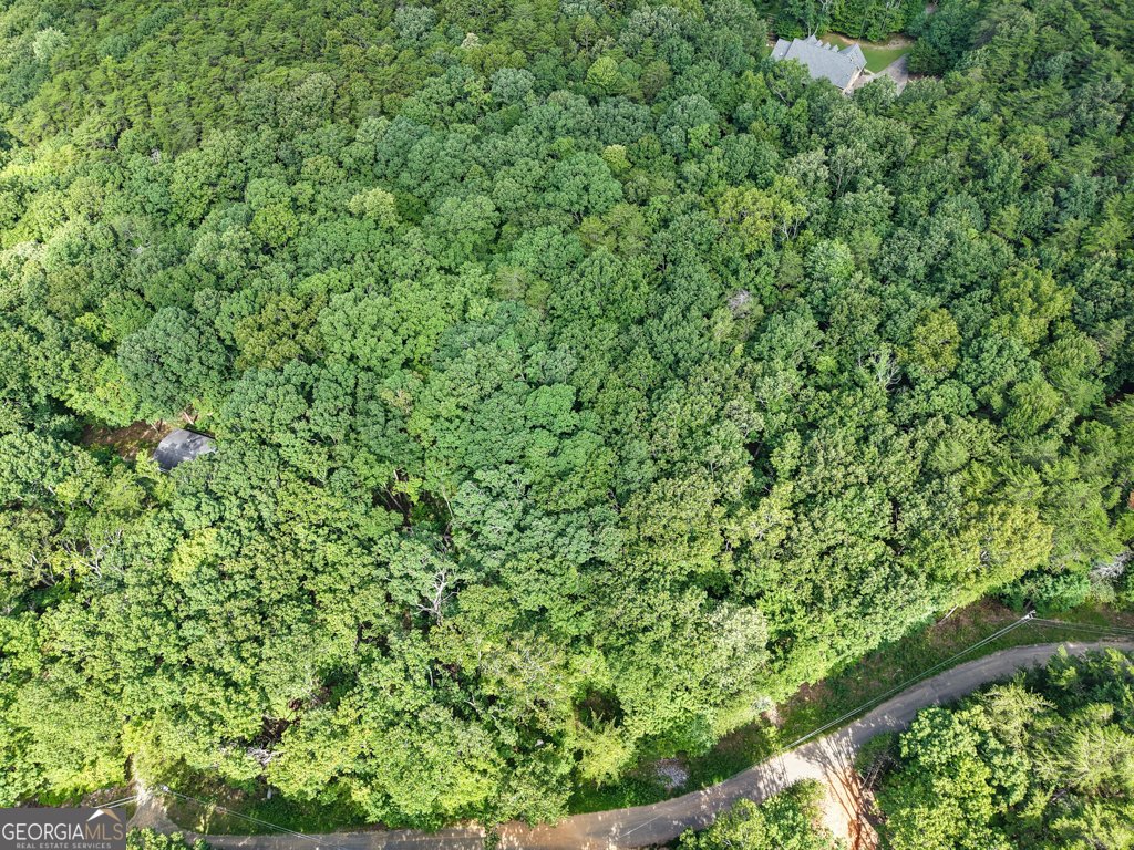 156 Mulberry Circle Jasper - Photo 30