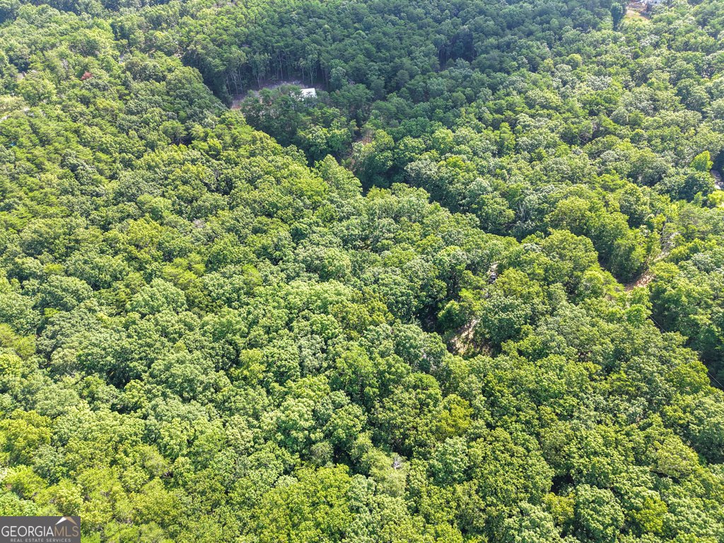 156 Mulberry Circle Jasper - Photo 32