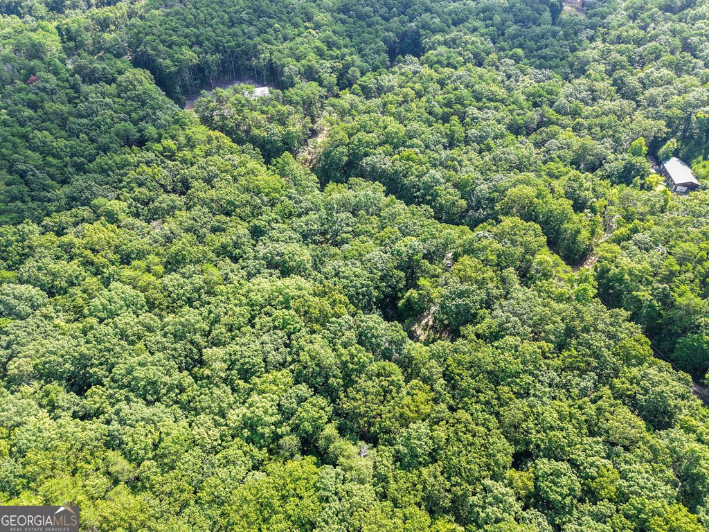 156 Mulberry Circle Jasper - Photo 34