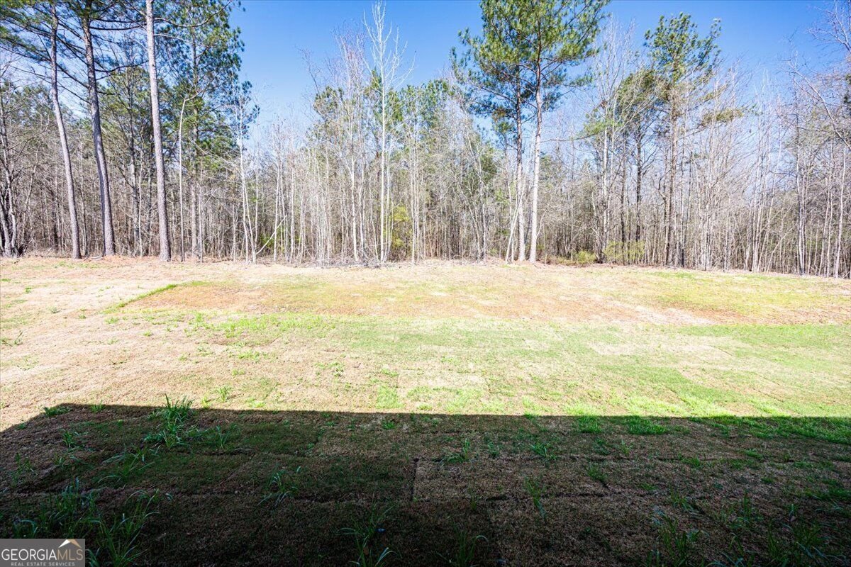 118 Allen Greene Drive Gray - Photo 20