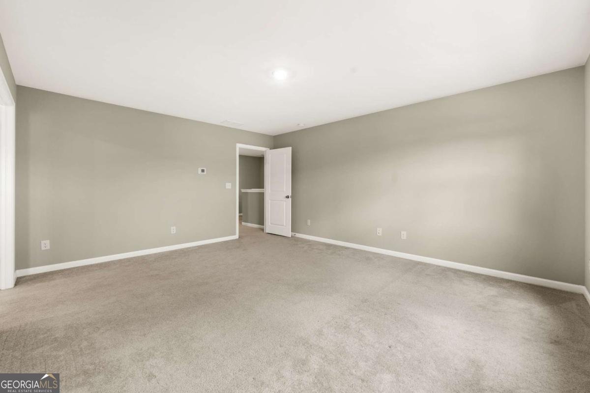 4335 Magpie Drive Hoschton - Photo 25