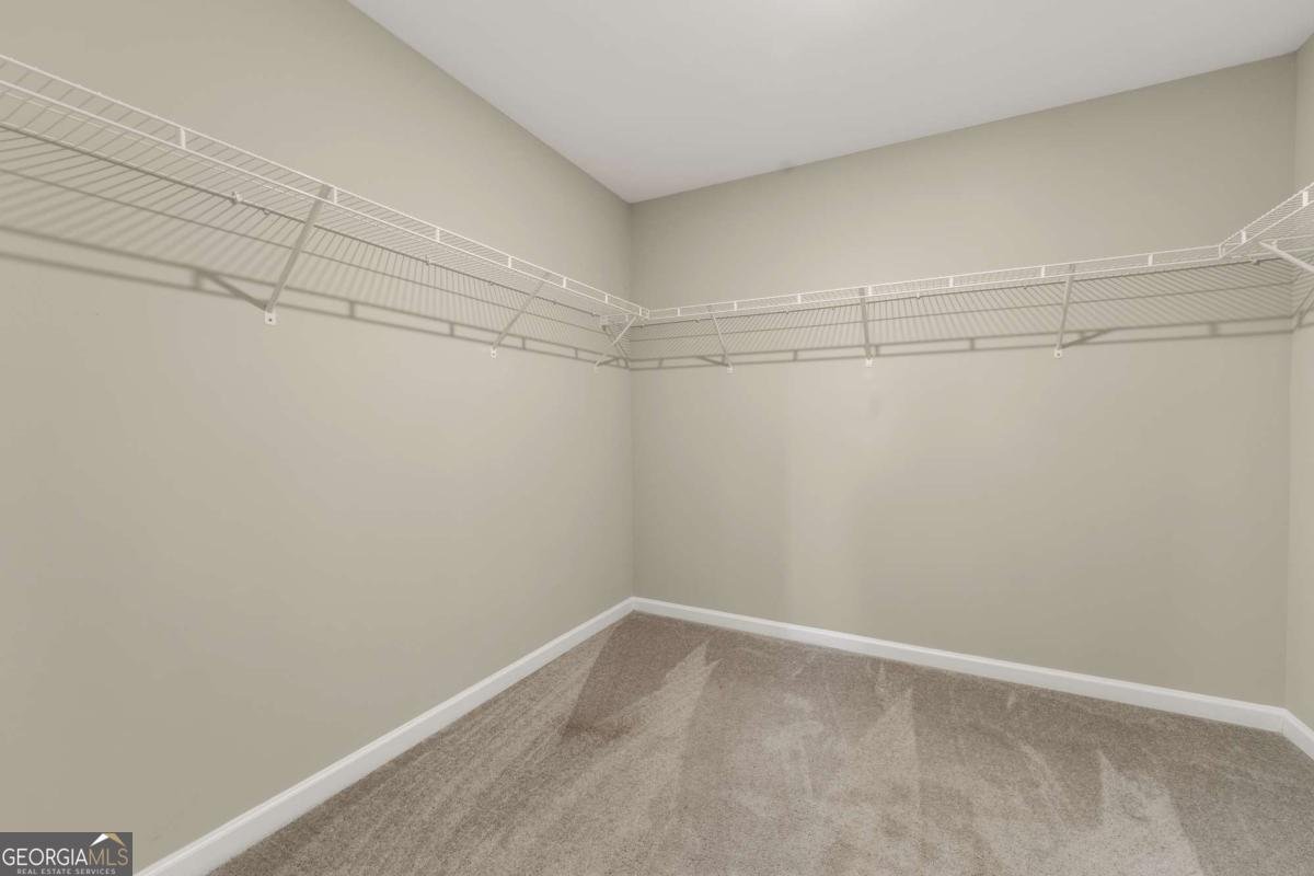 4335 Magpie Drive Hoschton - Photo 29