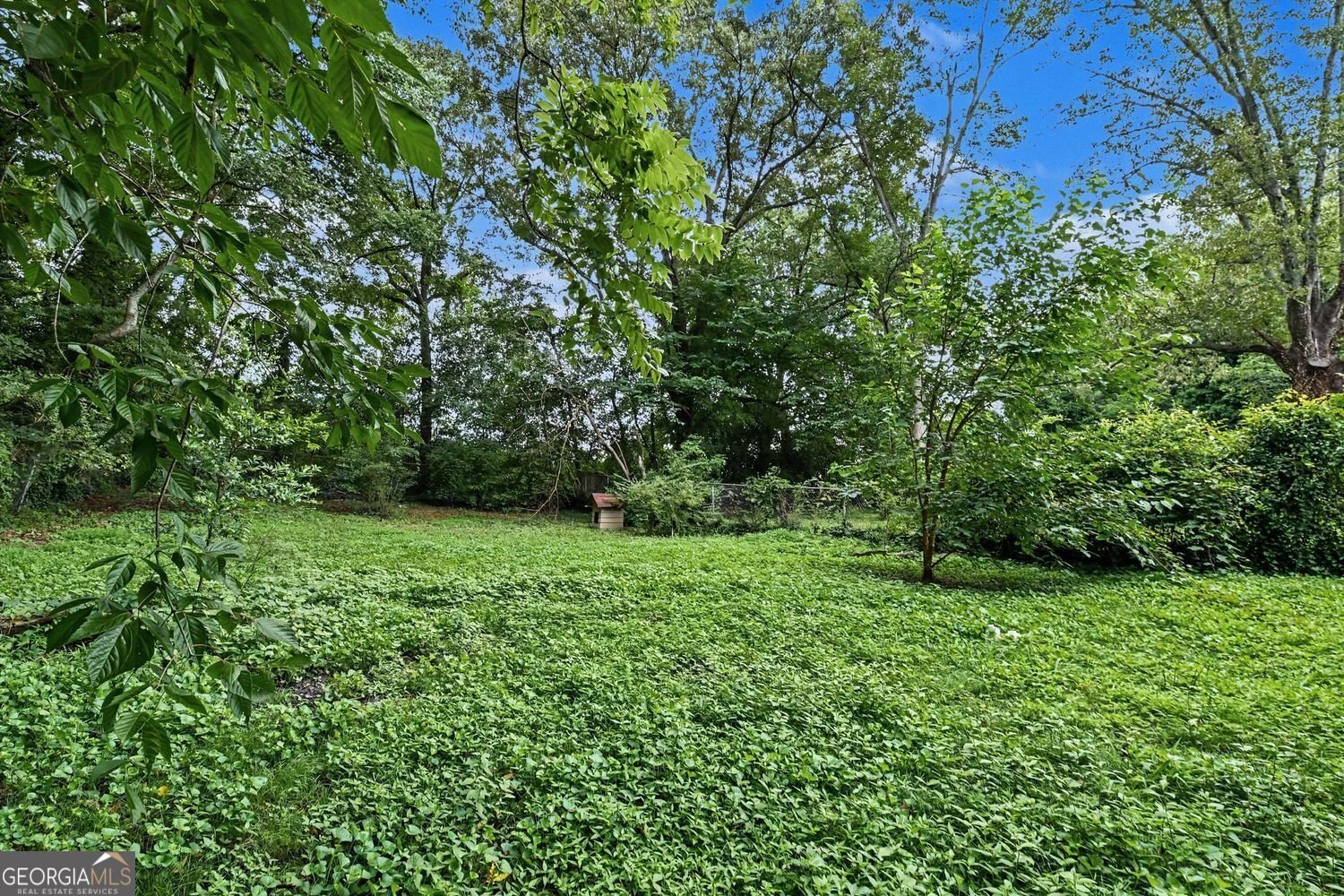 2203 Tiger Flowers Drive Atlanta - Photo 30