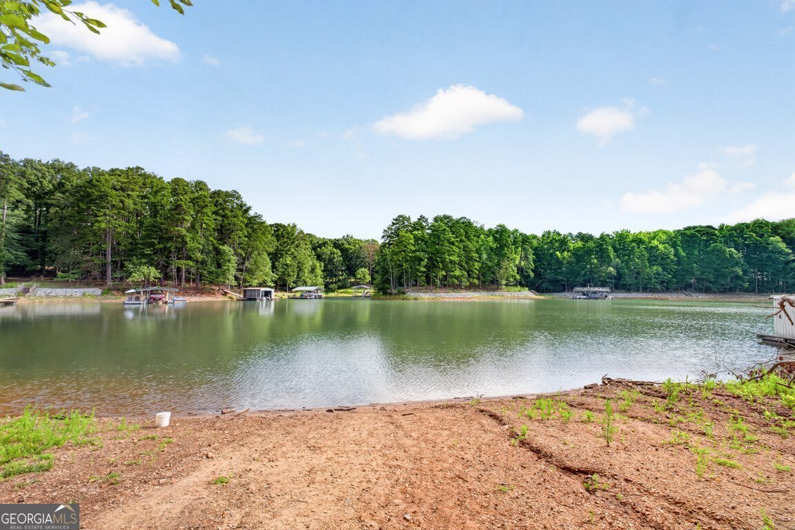1310 Timber Lake Trail Cumming - Photo 44