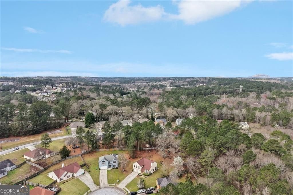 2100 Green Tree Court Lithonia - Photo 40