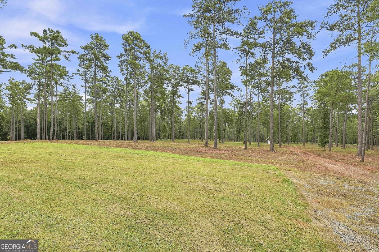 425 Ethridge Mill Rd Griffin - Photo 11