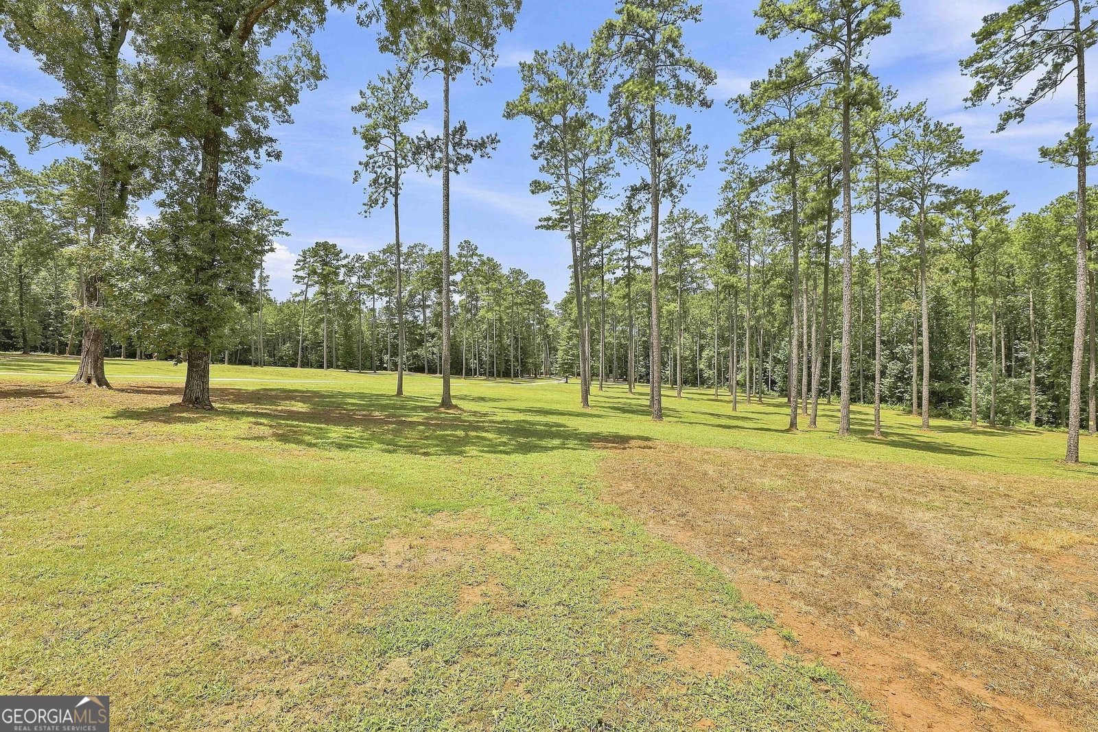 425 Ethridge Mill Rd Griffin - Photo 13