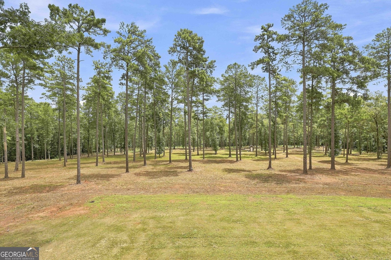 425 Ethridge Mill Rd Griffin - Photo 43
