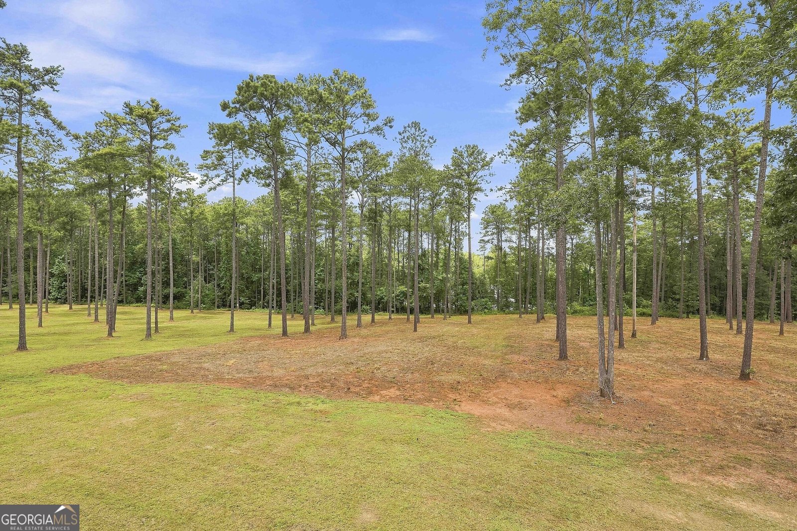 425 Ethridge Mill Rd Griffin - Photo 44