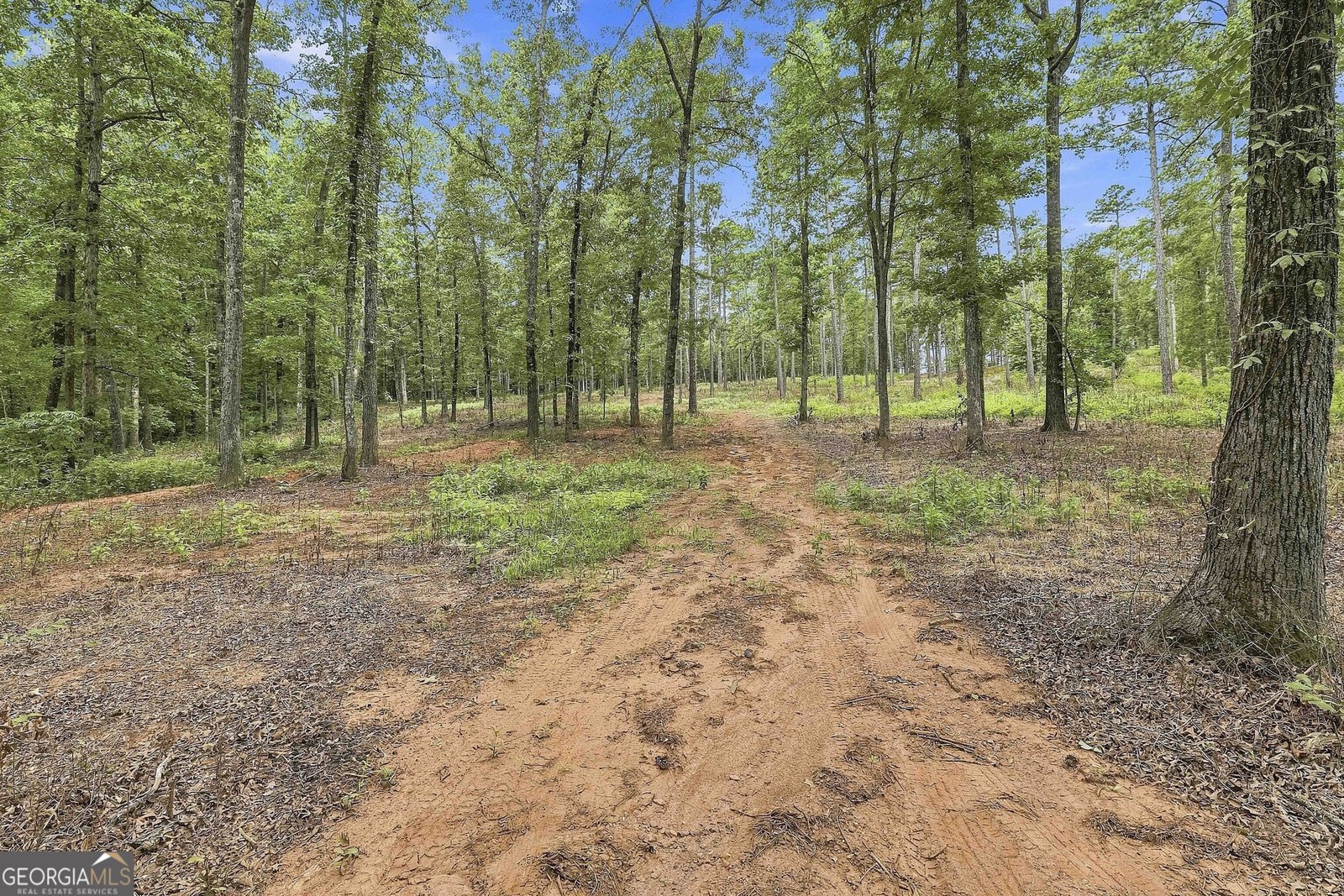 425 Ethridge Mill Rd Griffin - Photo 48