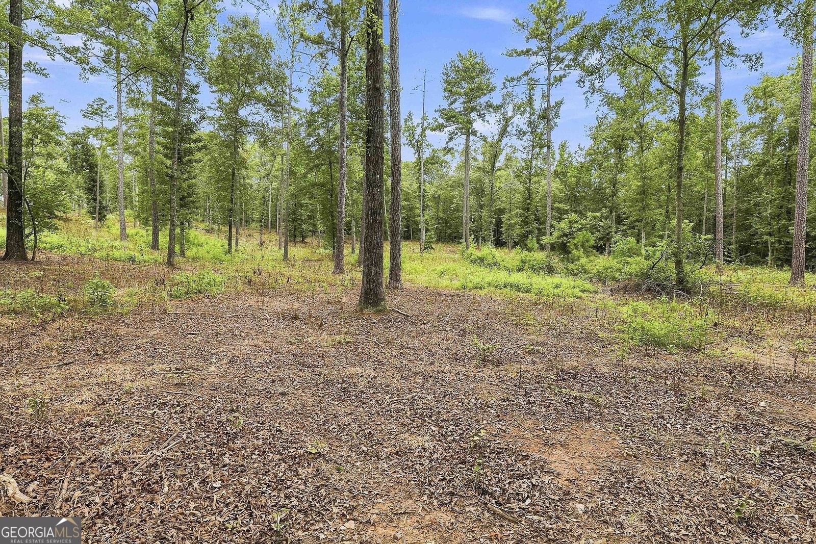 425 Ethridge Mill Rd Griffin - Photo 49