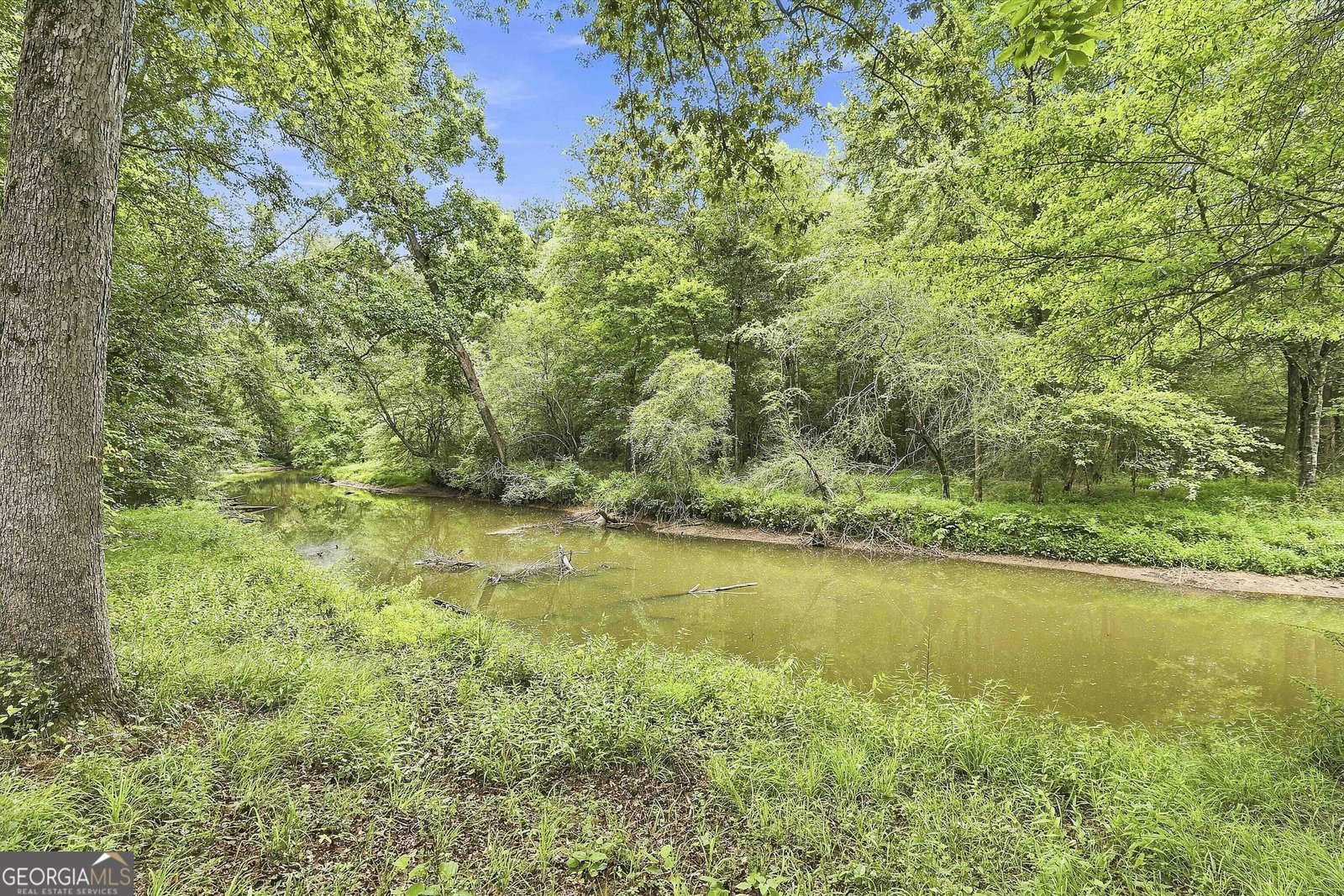 425 Ethridge Mill Rd Griffin - Photo 50
