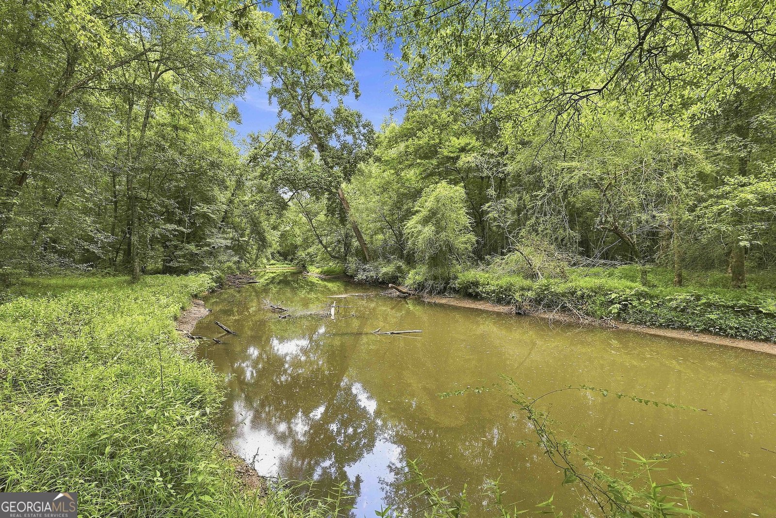 425 Ethridge Mill Rd Griffin - Photo 51