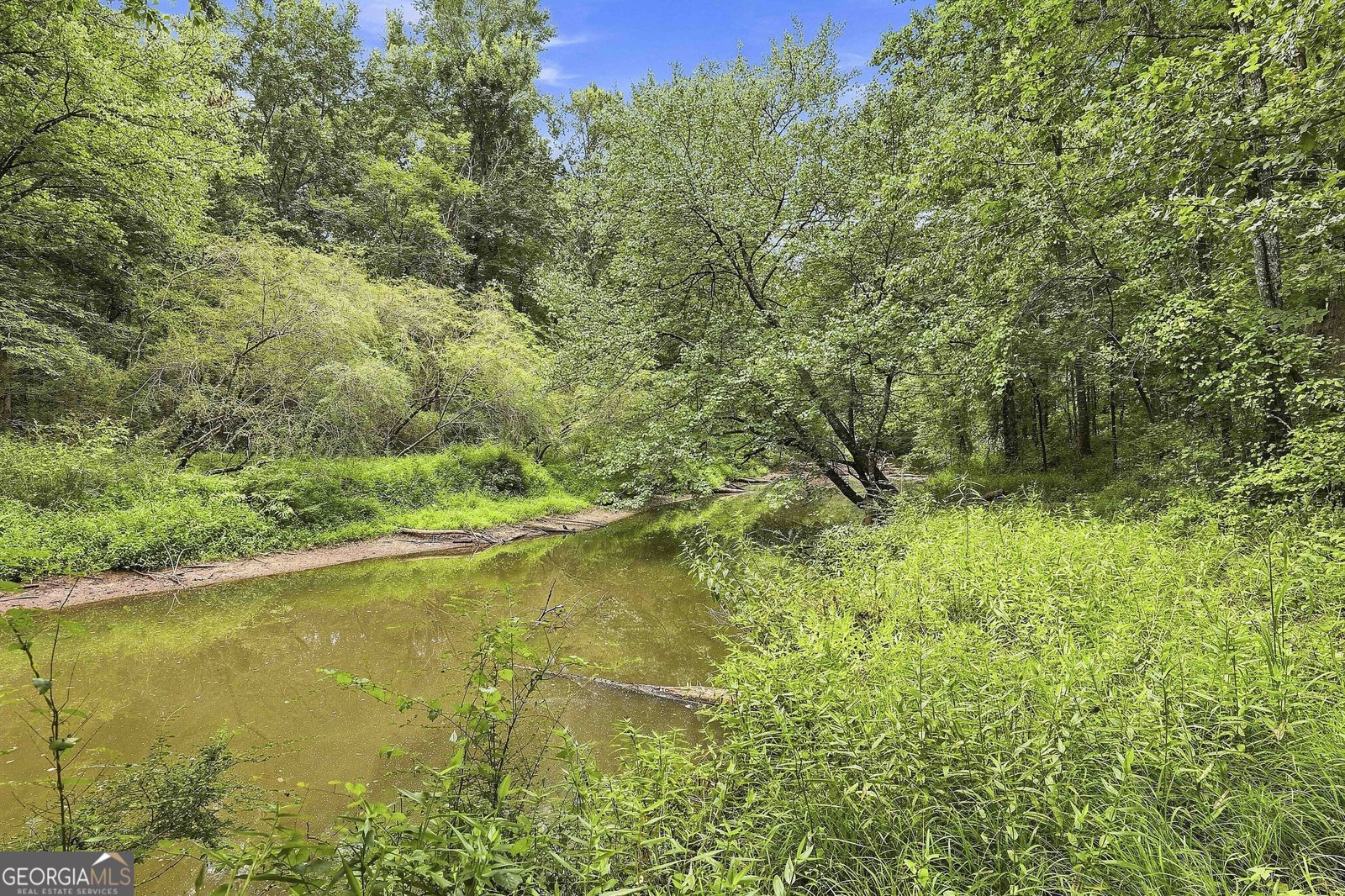 425 Ethridge Mill Rd Griffin - Photo 52