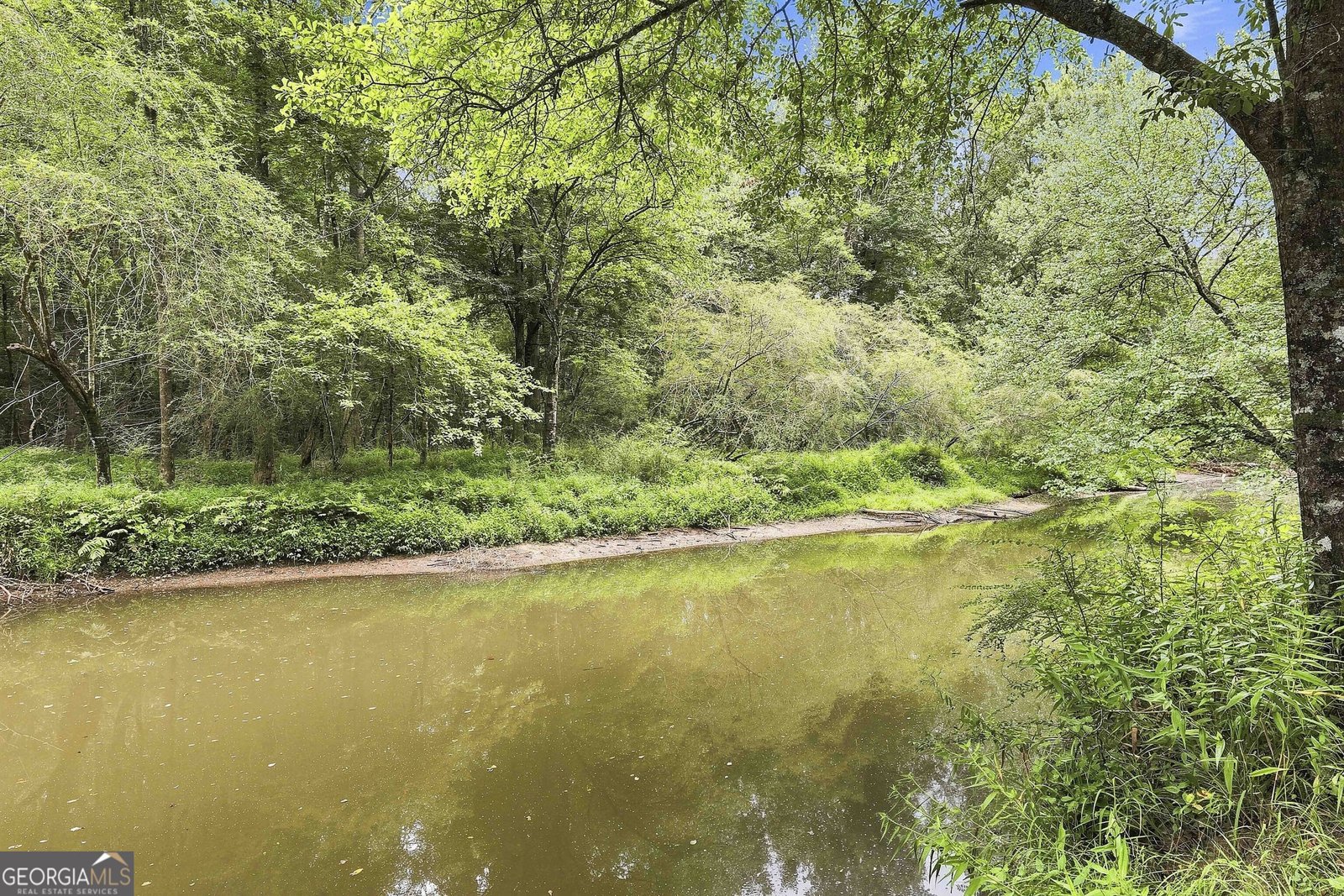 425 Ethridge Mill Rd Griffin - Photo 53