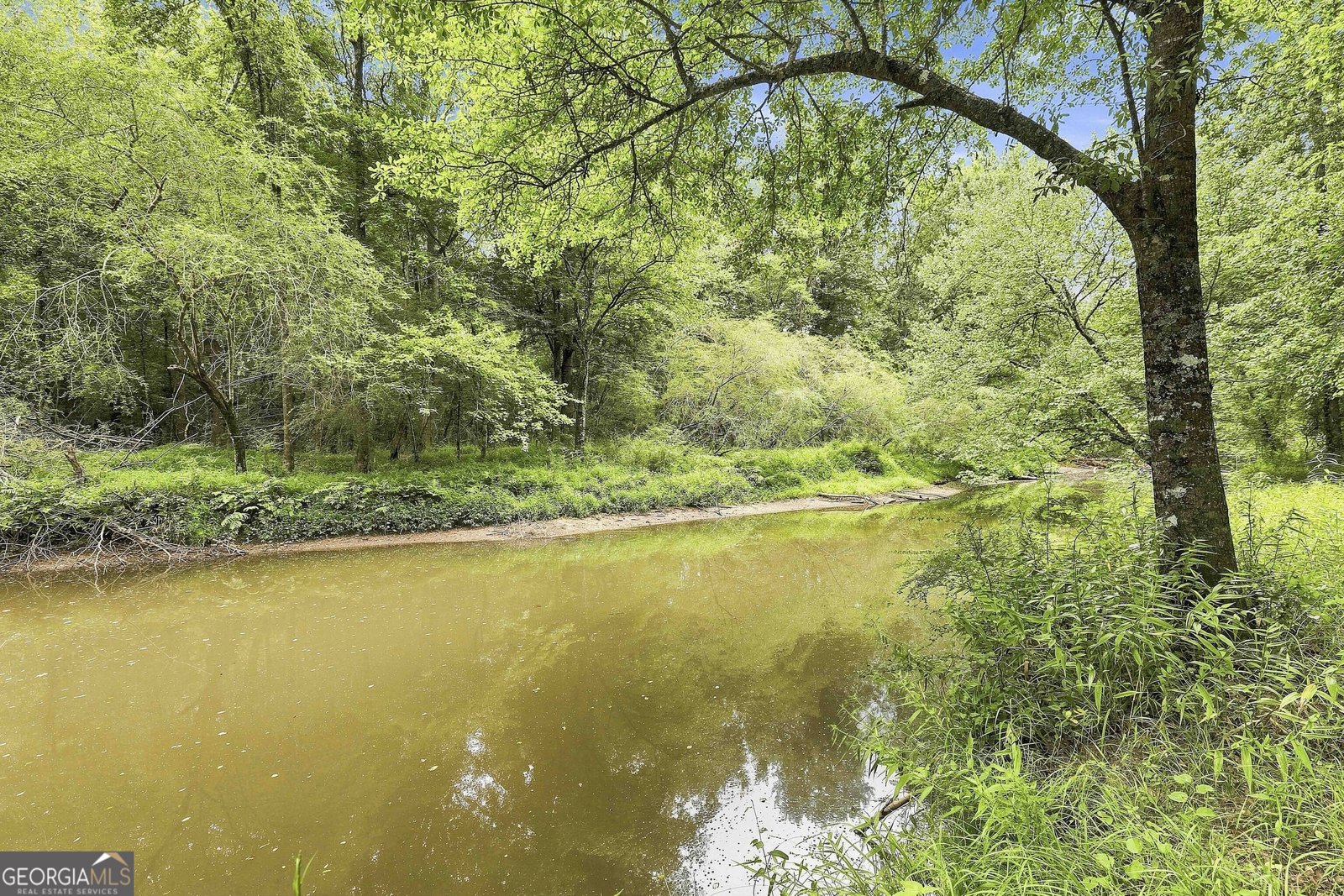 425 Ethridge Mill Rd Griffin - Photo 54