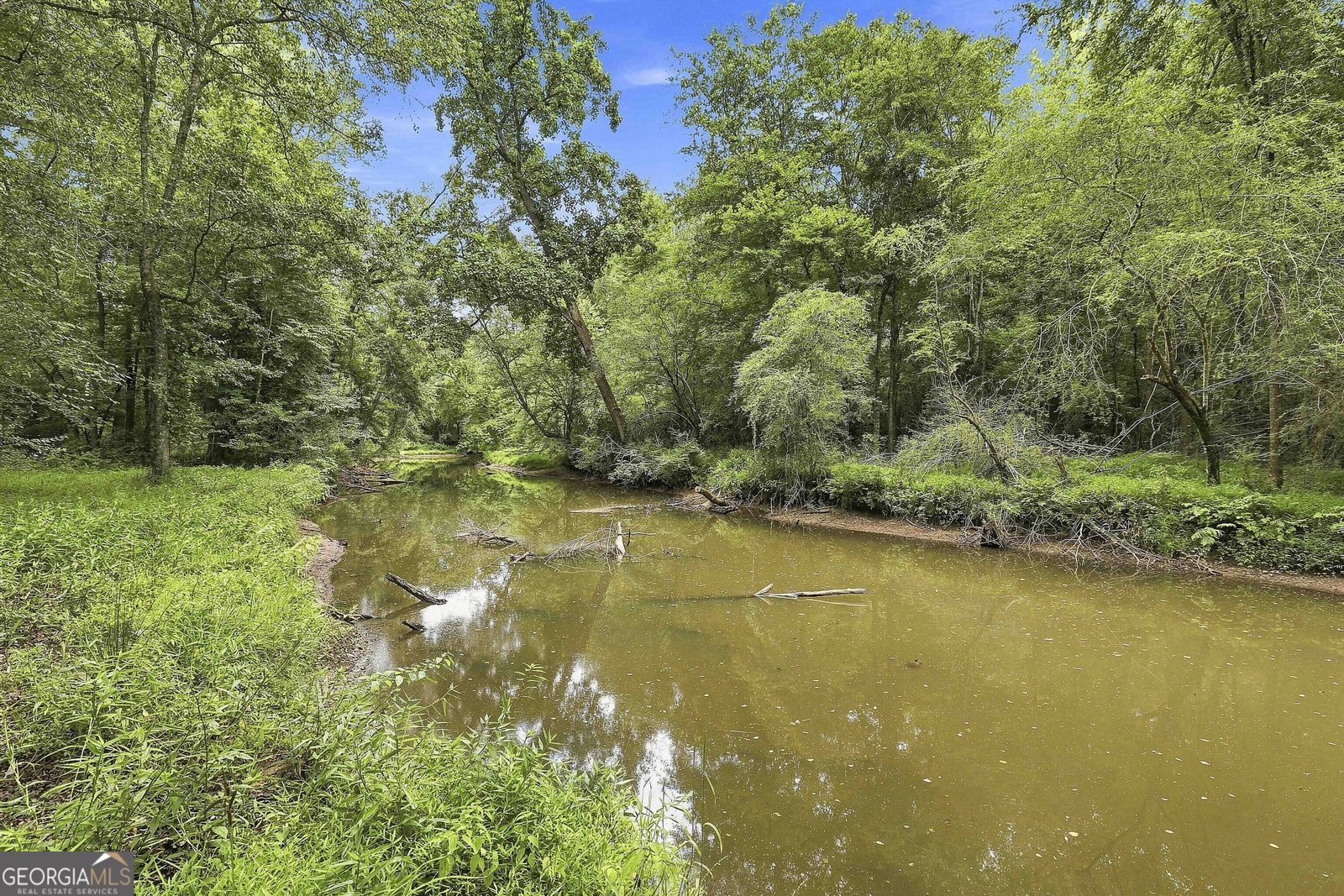 425 Ethridge Mill Rd Griffin - Photo 55