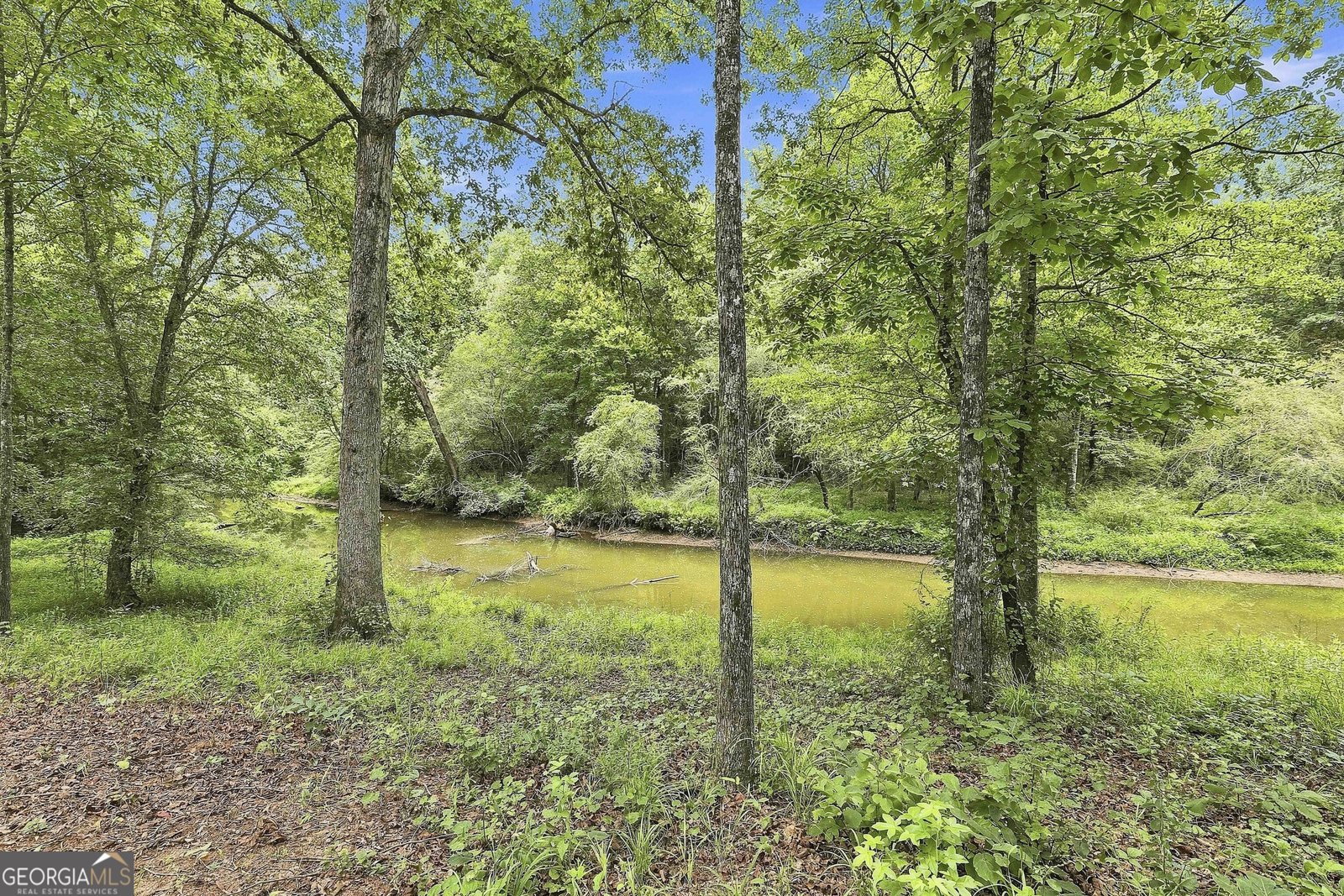 425 Ethridge Mill Rd Griffin - Photo 56