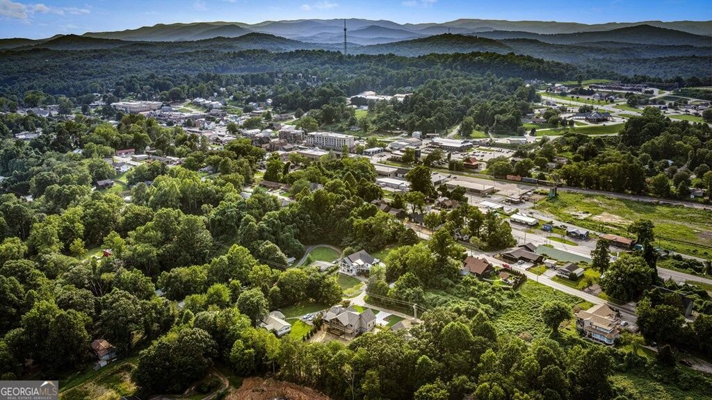 287 State Street Blue Ridge - Photo 57