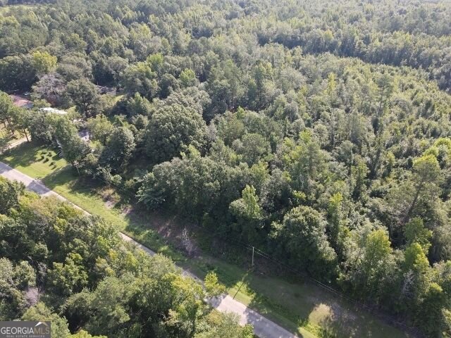 74 Piney Grove Road Midville - Photo 18