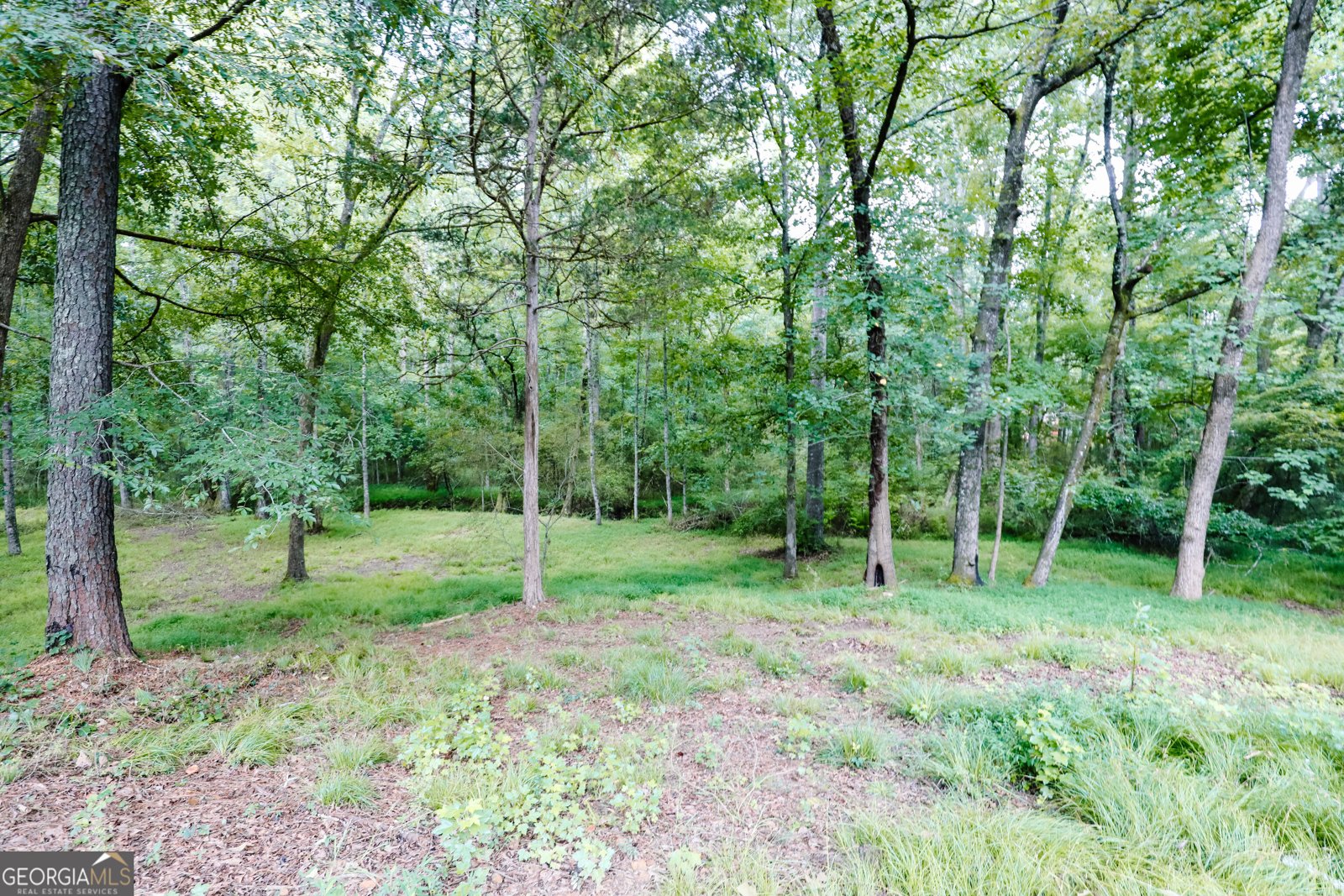 2447 Martin Mill Road Newnan - Photo 40