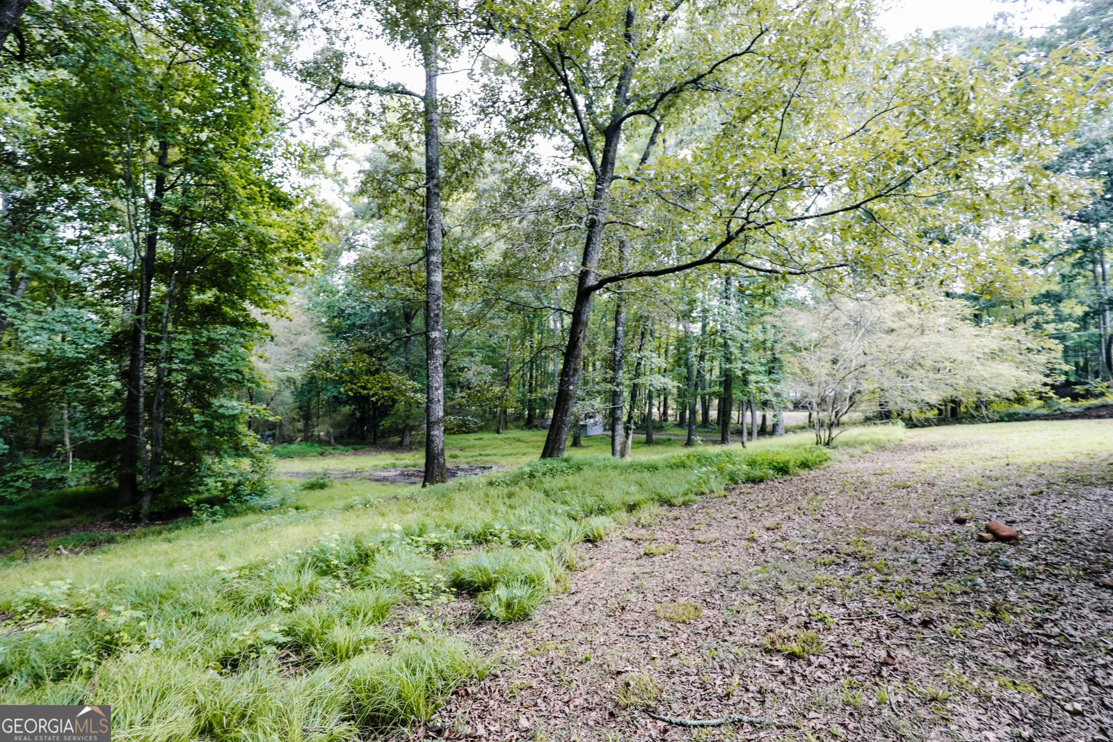2447 Martin Mill Road Newnan - Photo 41