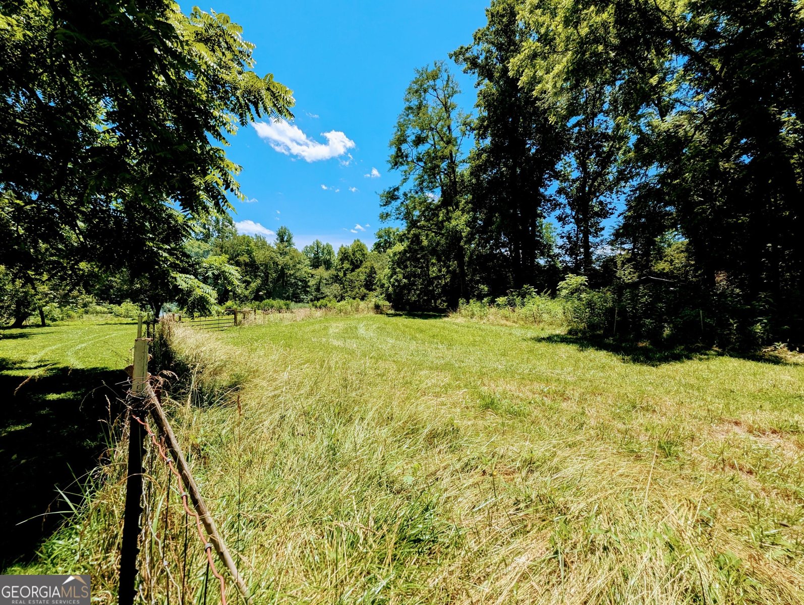 169 Vineyard Road Hayesville - Photo 10