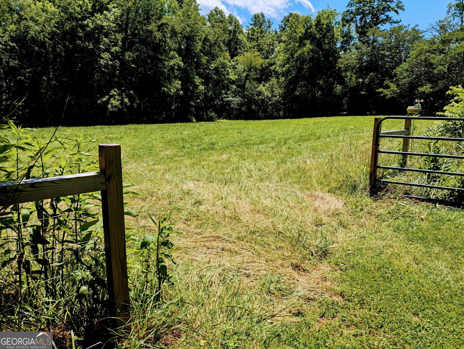 169 Vineyard Road Hayesville - Photo 11