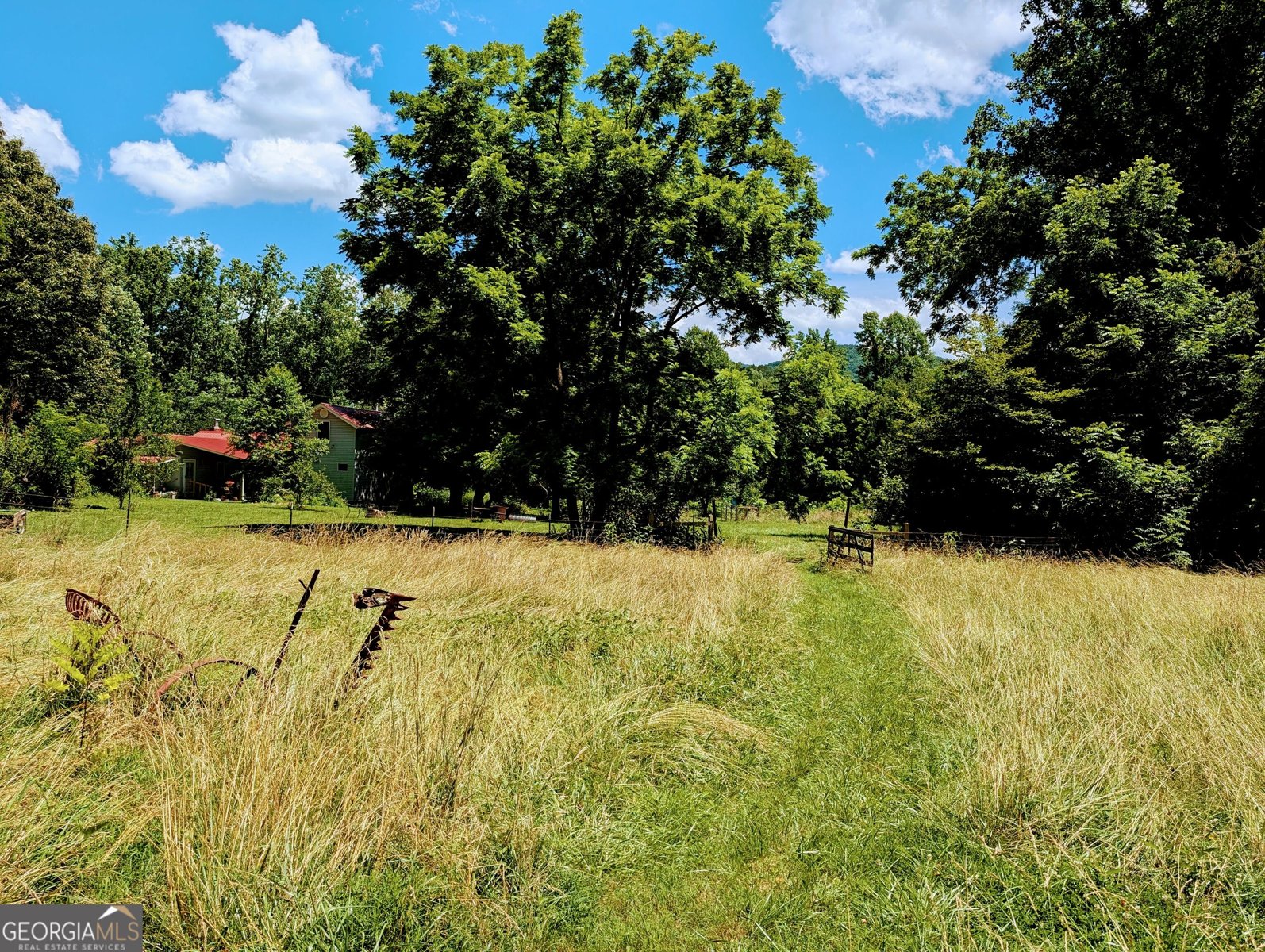 169 Vineyard Road Hayesville - Photo 13