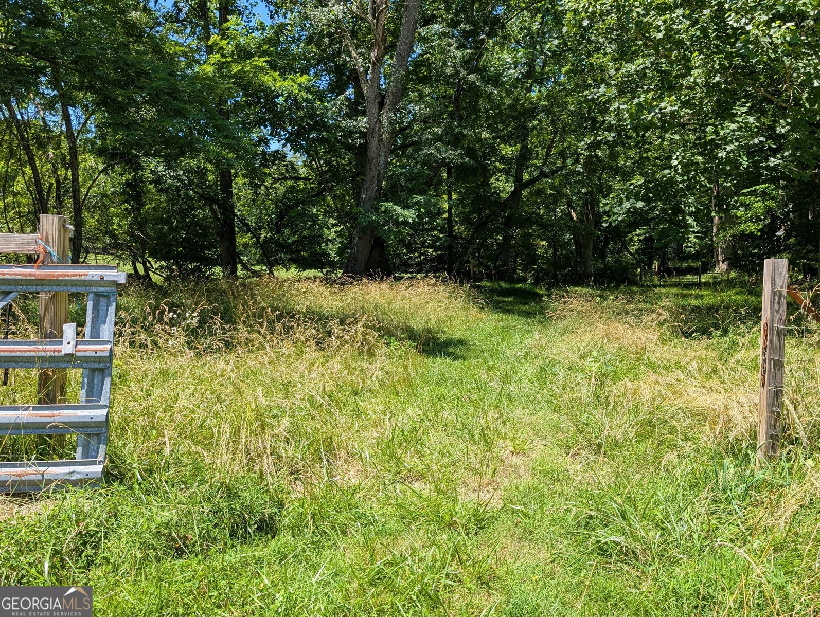 169 Vineyard Road Hayesville - Photo 14