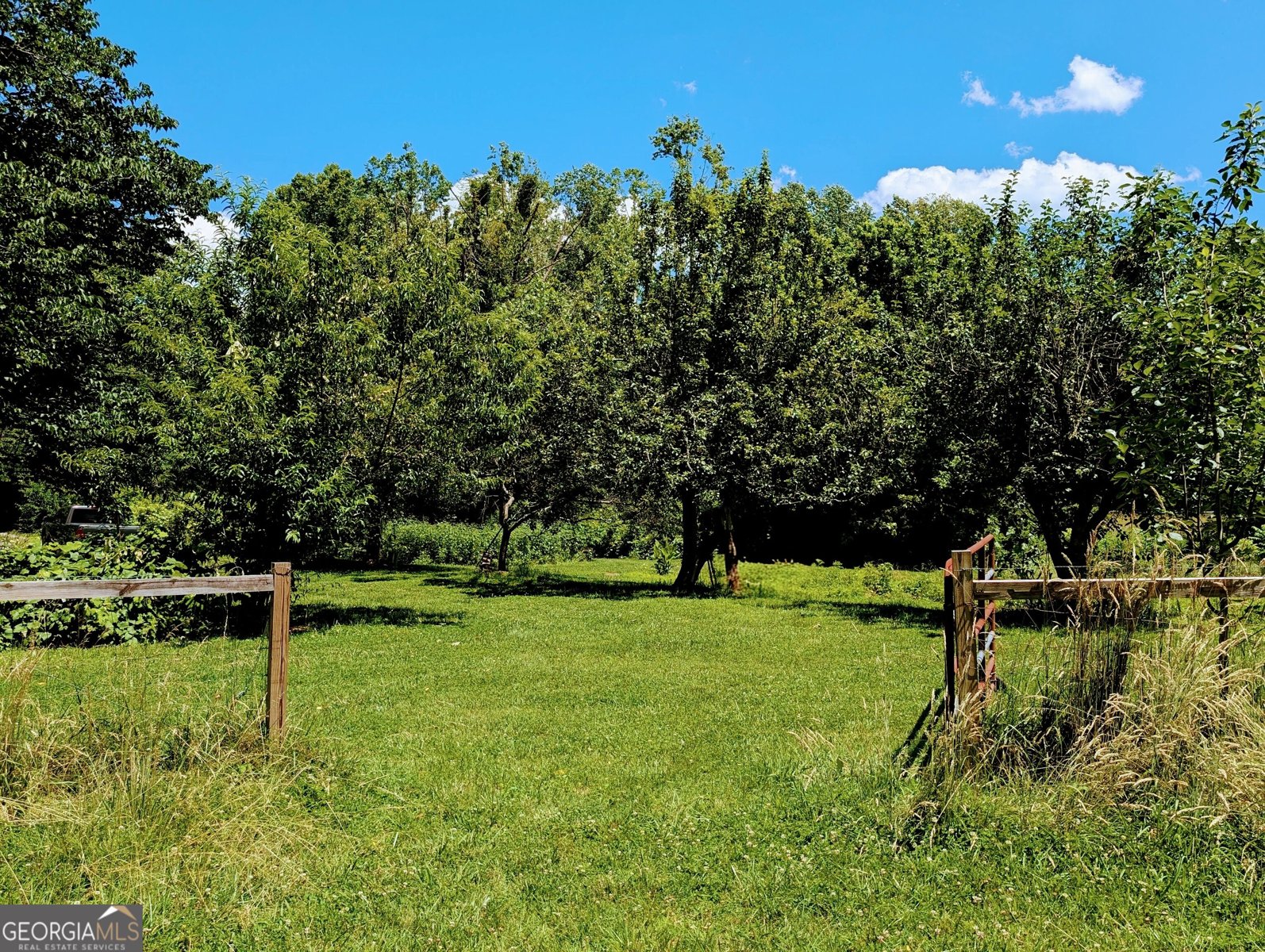 169 Vineyard Road Hayesville - Photo 15