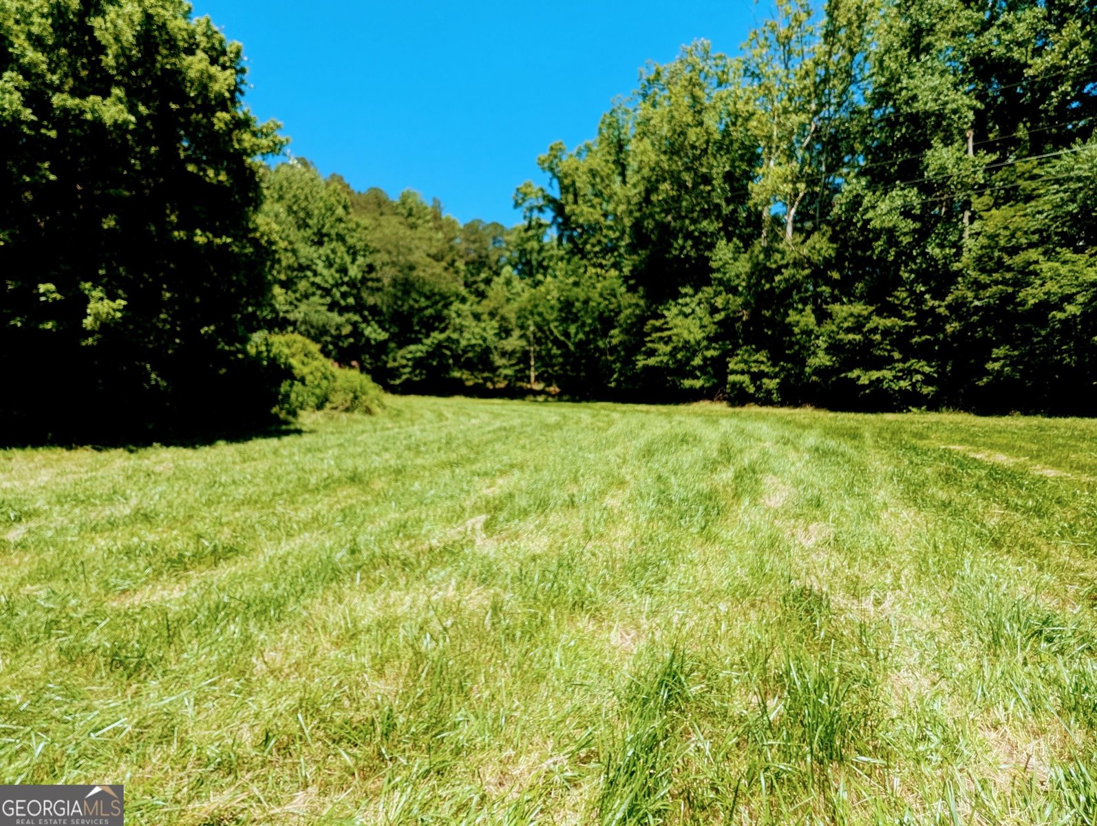 169 Vineyard Road Hayesville - Photo 16