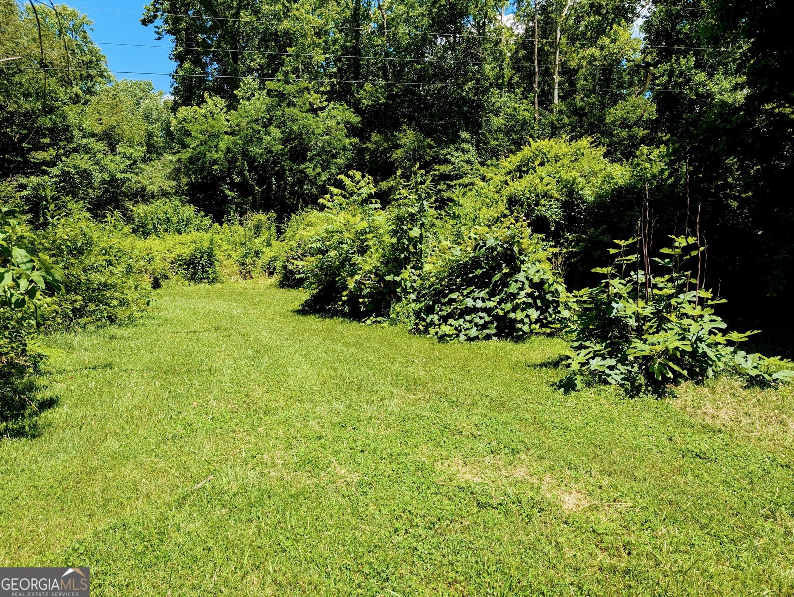 169 Vineyard Road Hayesville - Photo 18