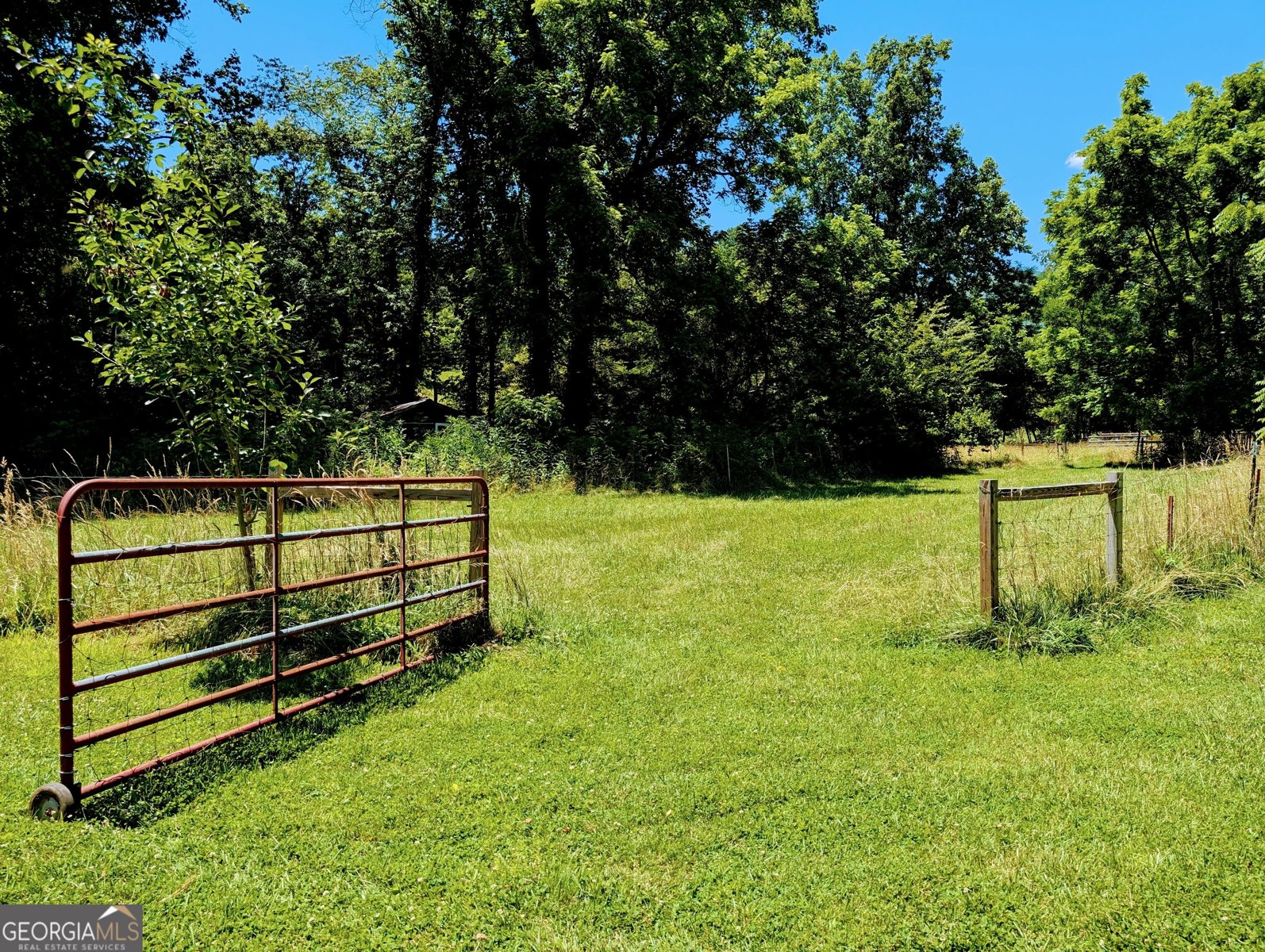 169 Vineyard Road Hayesville - Photo 19