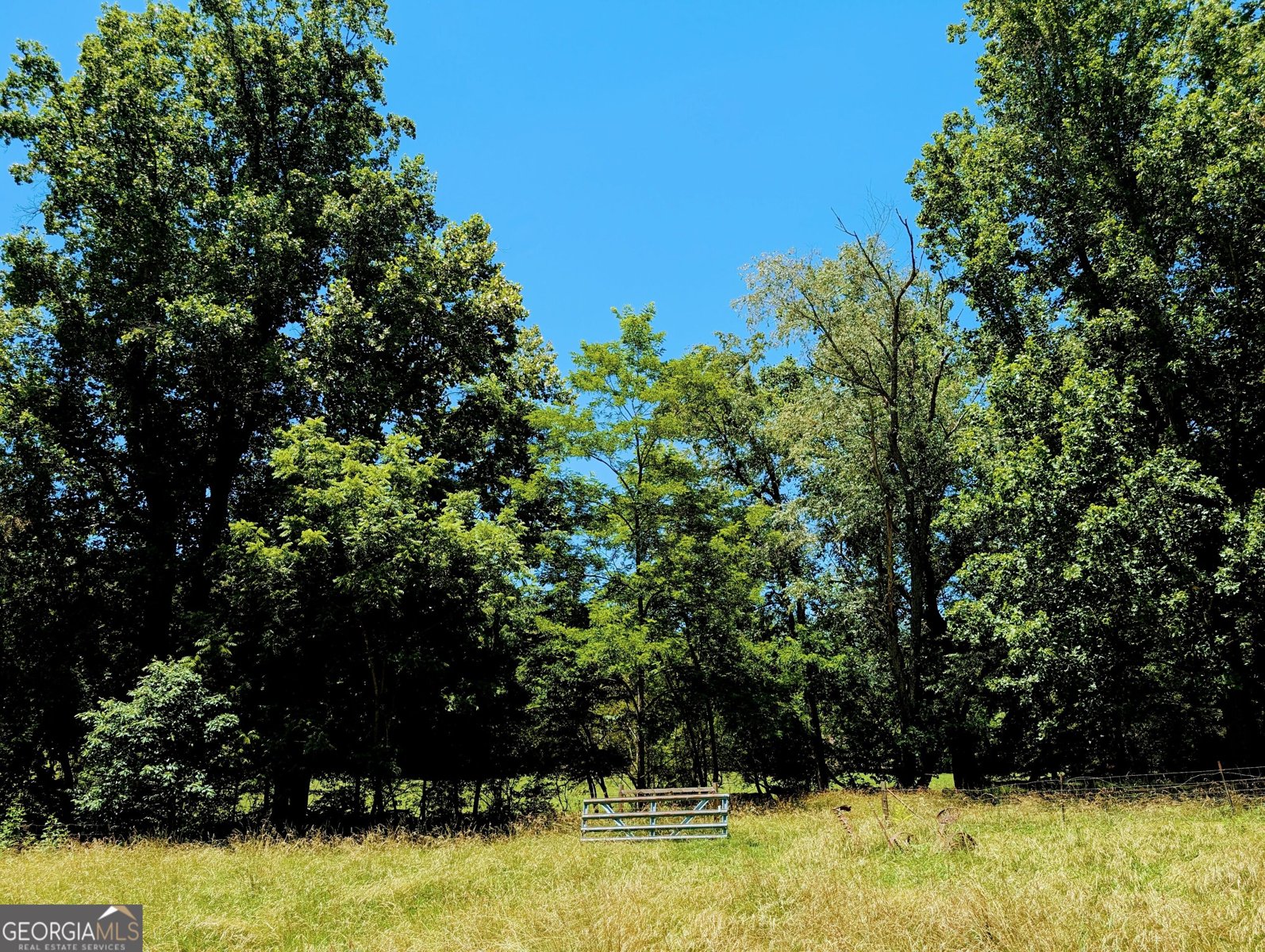 169 Vineyard Road Hayesville - Photo 52