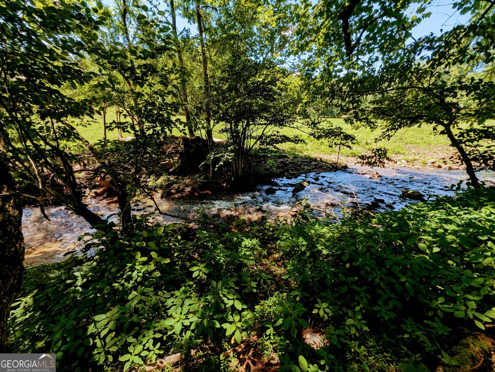 169 Vineyard Road Hayesville - Photo 8