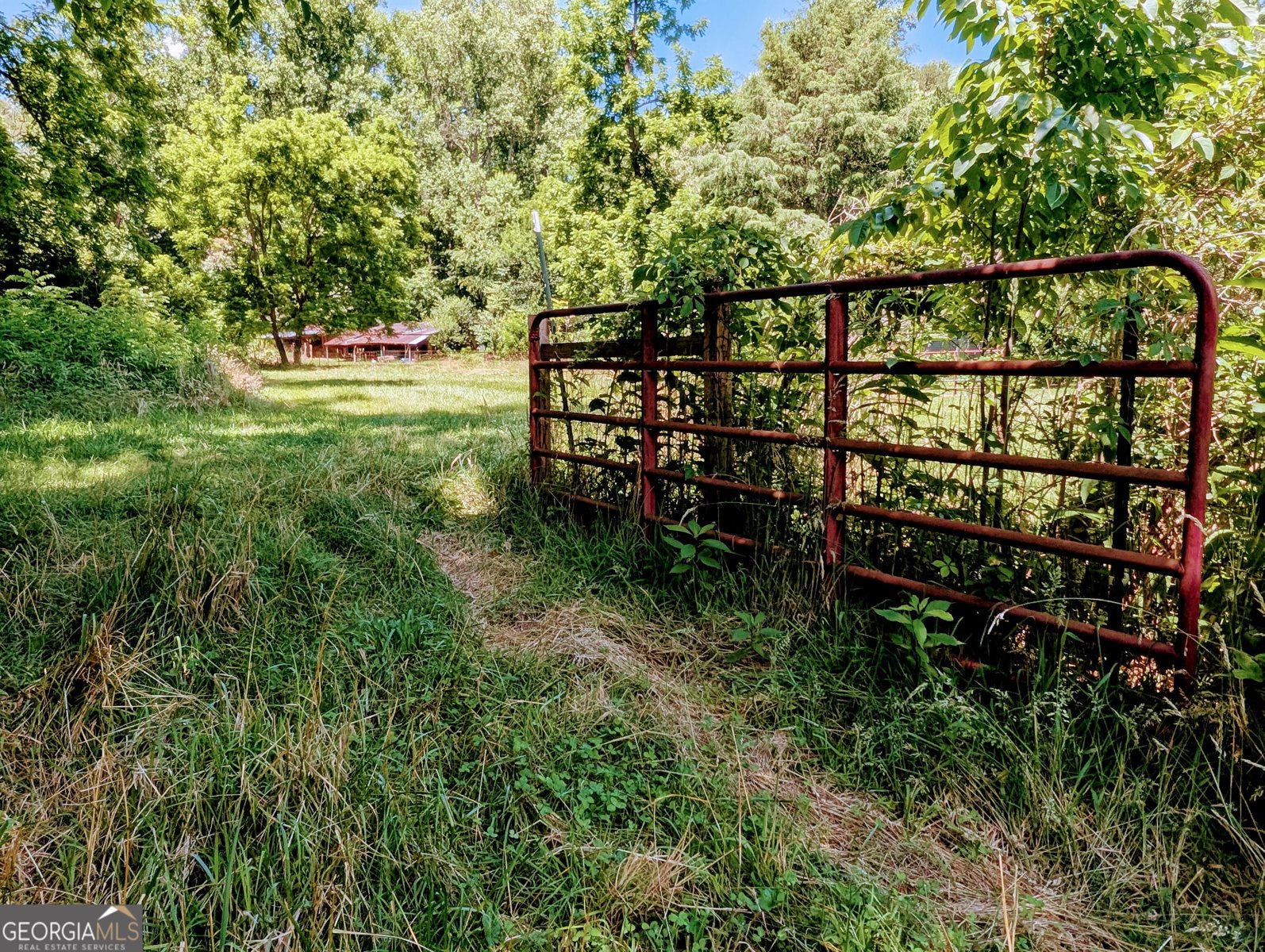 169 Vineyard Road Hayesville - Photo 9