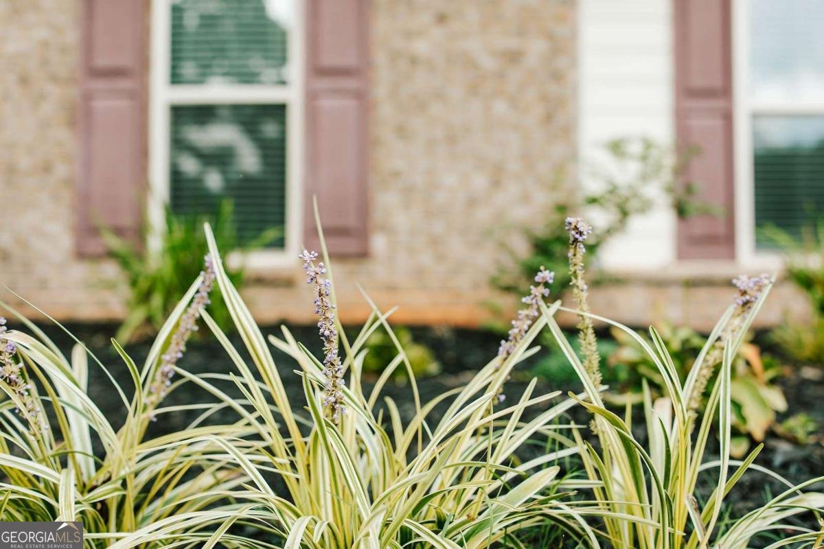 296 Highlands Drive Winterville - Photo 40
