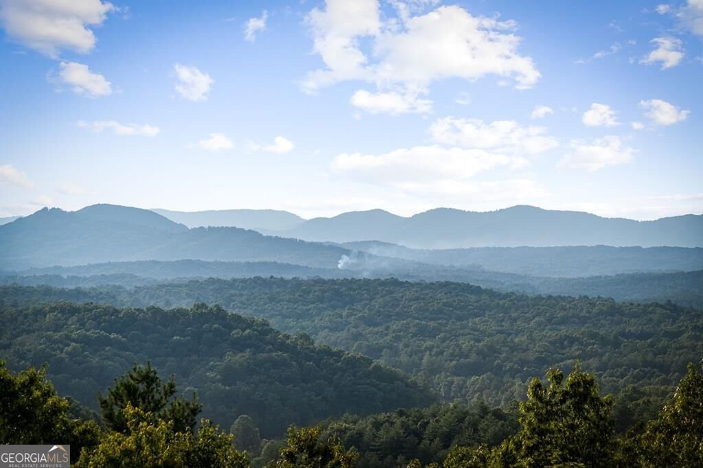 330 Serenity Ridge Lane Mineral Bluff - Photo 80