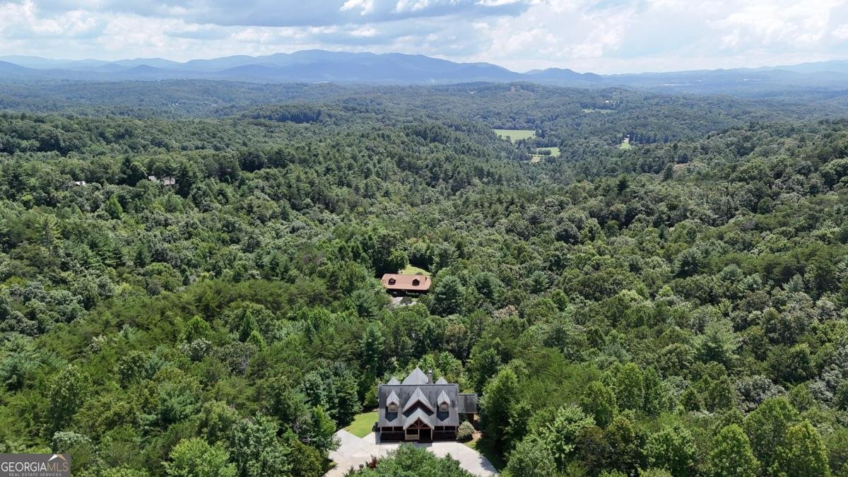 965 My Mountain Road Morganton - Photo 56