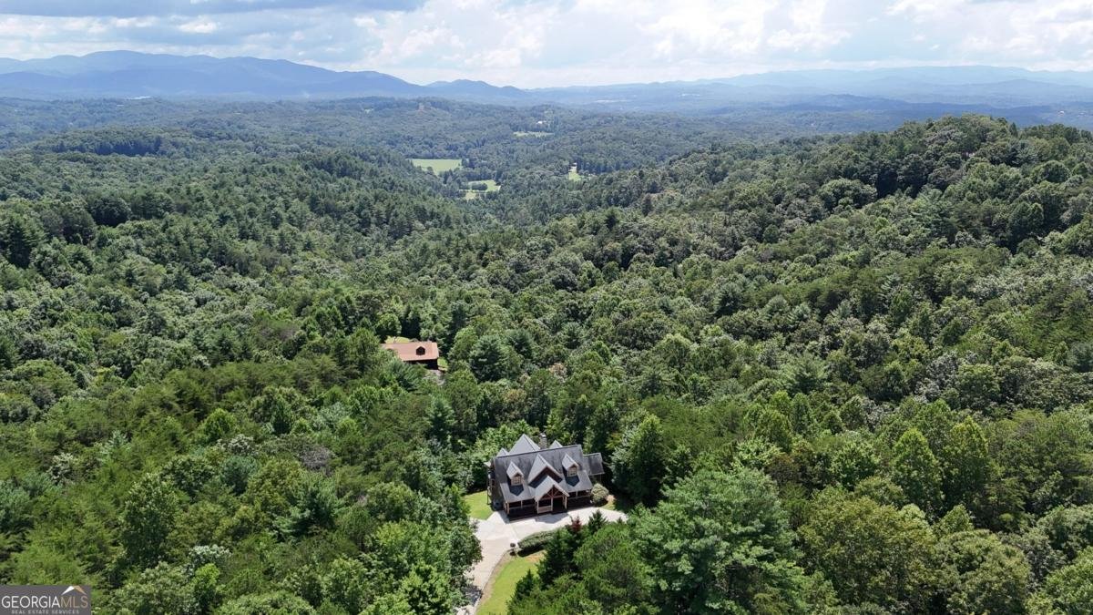 965 My Mountain Road Morganton - Photo 57