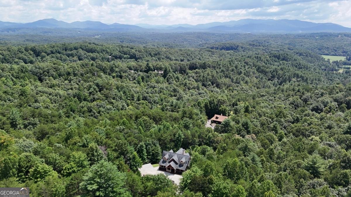 965 My Mountain Road Morganton - Photo 58