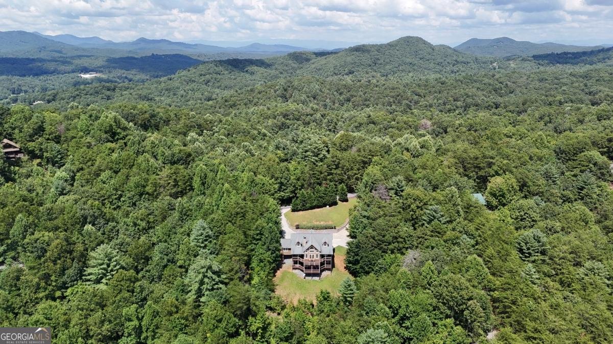 965 My Mountain Road Morganton - Photo 62