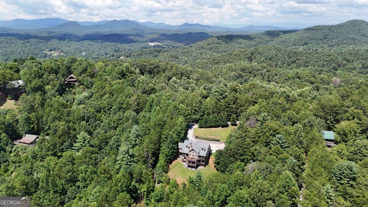 965 My Mountain Road Morganton - Photo 63
