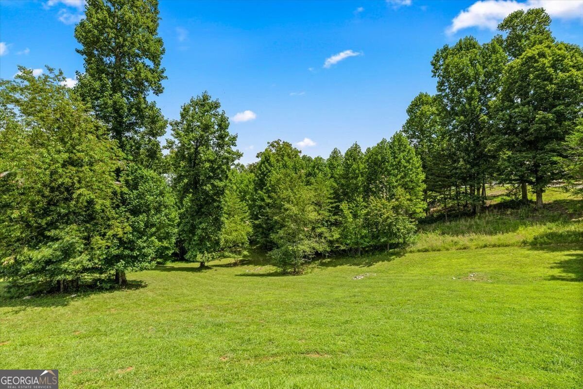 332 Upper Fox Trail Blairsville - Photo 34