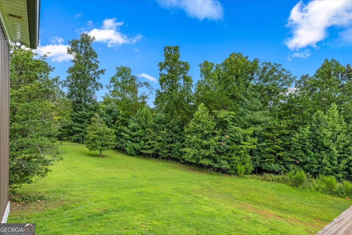 332 Upper Fox Trail Blairsville - Photo 35