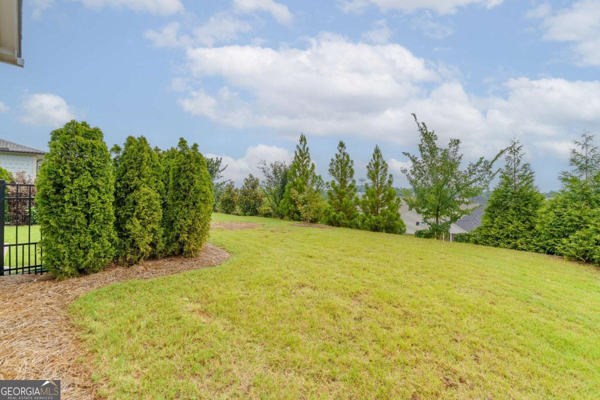 5031 Adler Court Hoschton - Photo 49