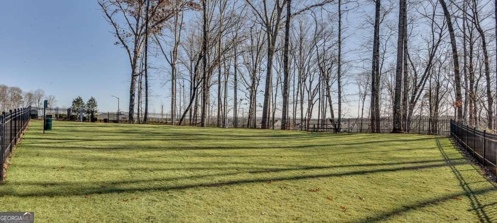 5031 Adler Court Hoschton - Photo 50