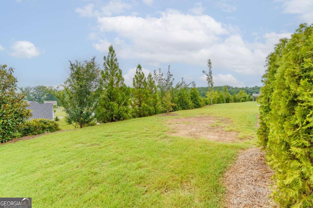 5031 Adler Court Hoschton - Photo 51
